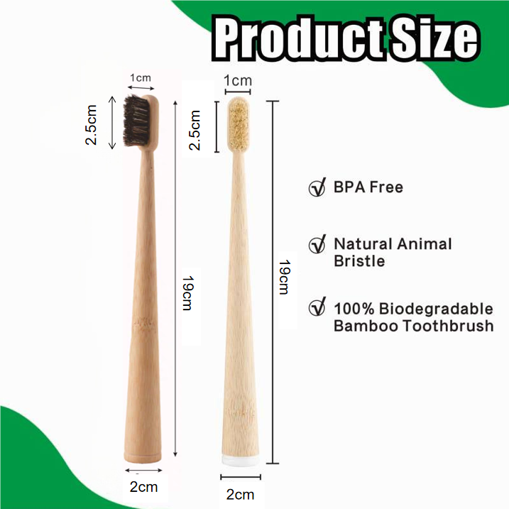 Lot de 4 brosses à dents en po - Bamboo Toothbrush Set avis et prix
